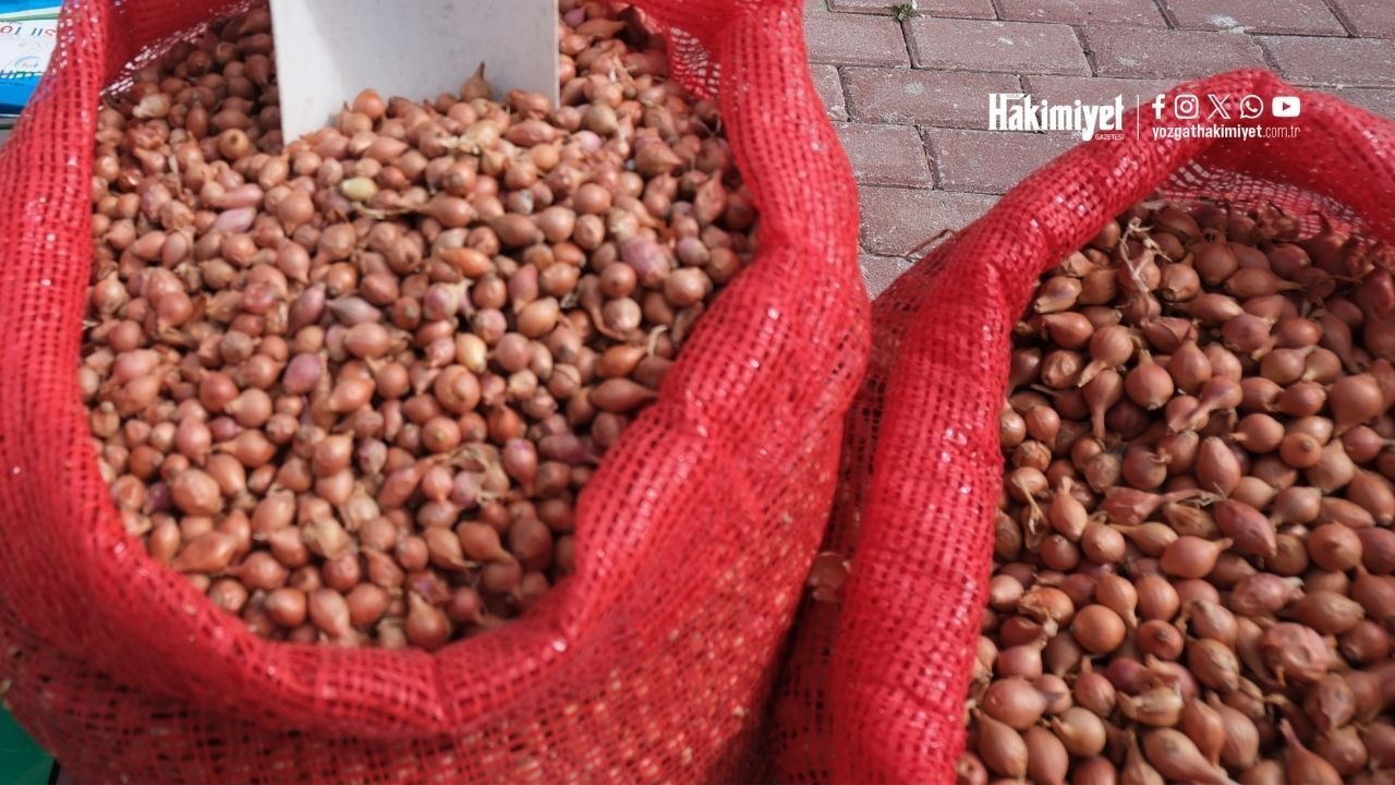 Yozgat'ta Tohumlar Cep Yakıyor Vatandaş Gramla Alıyor (4)