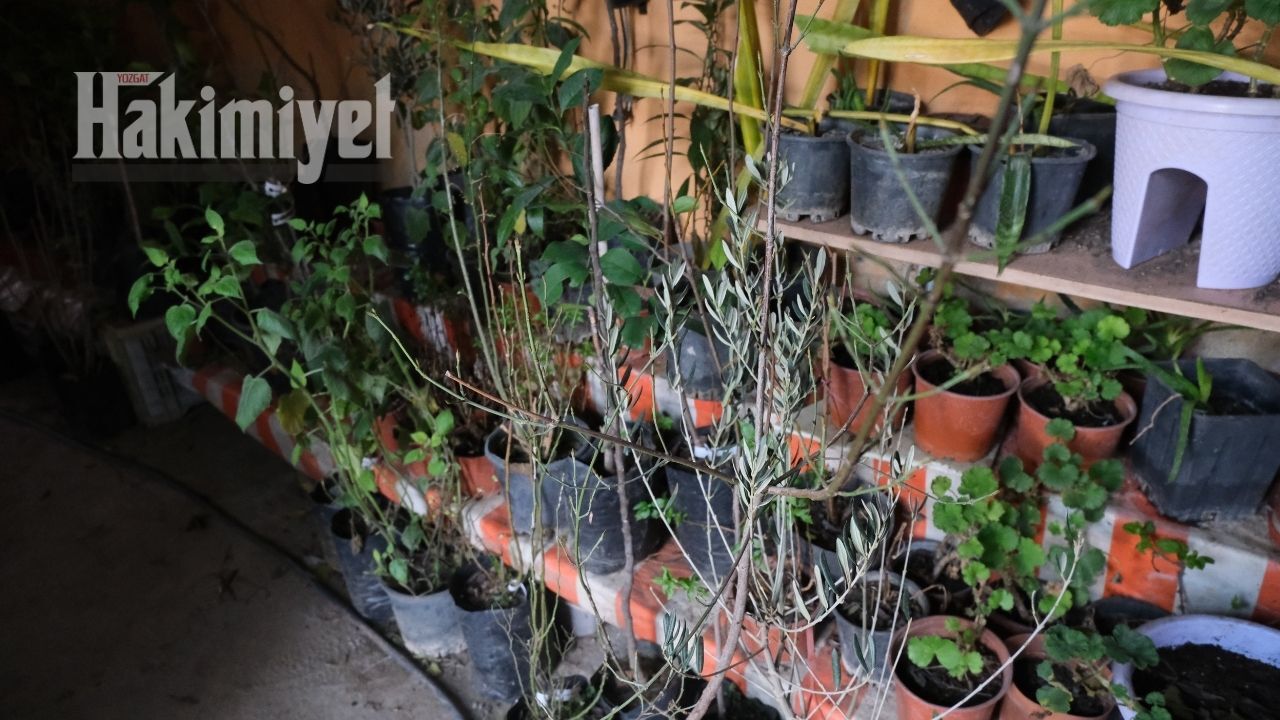 Yozgat’ta Üreticilere Önemli Mesaj Sebze Fideleri İçin En Doğru Zaman Açıklandı