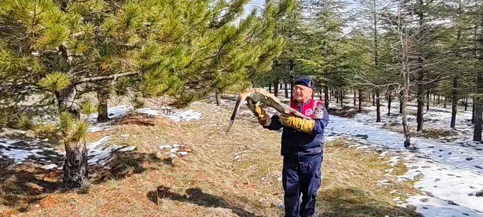 Yozgat'ta Yaralı Şahine Jandarma Sahip Çıktı