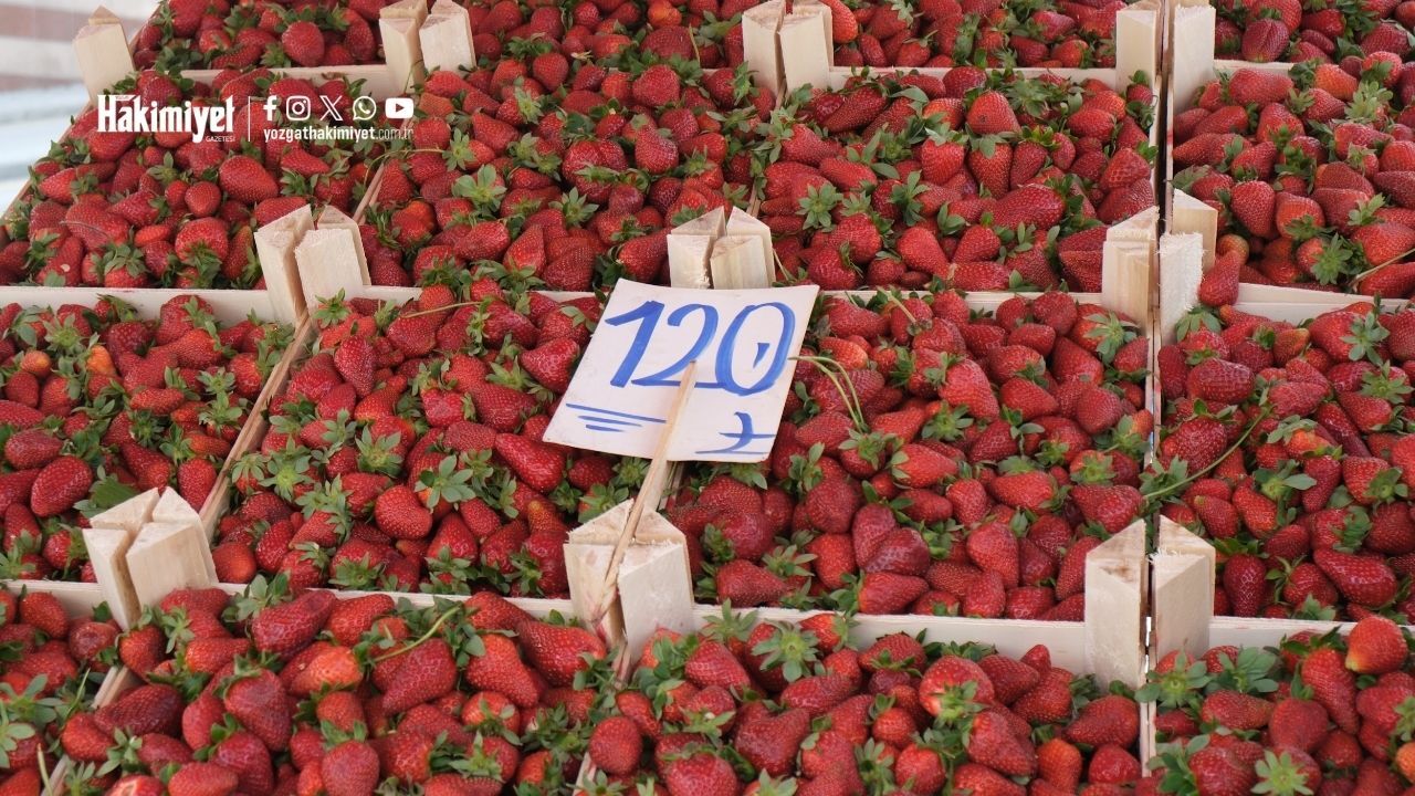 Yozgat’ta Yaz Meyveleri Tezgahlardaki Yerini Almaya Başladı (2)