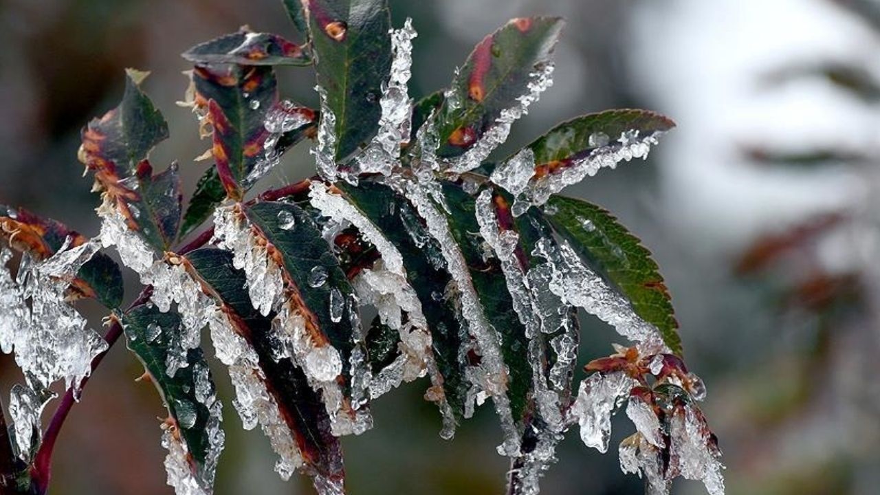 Adsız Tasarım 2026 04 10T172613.571