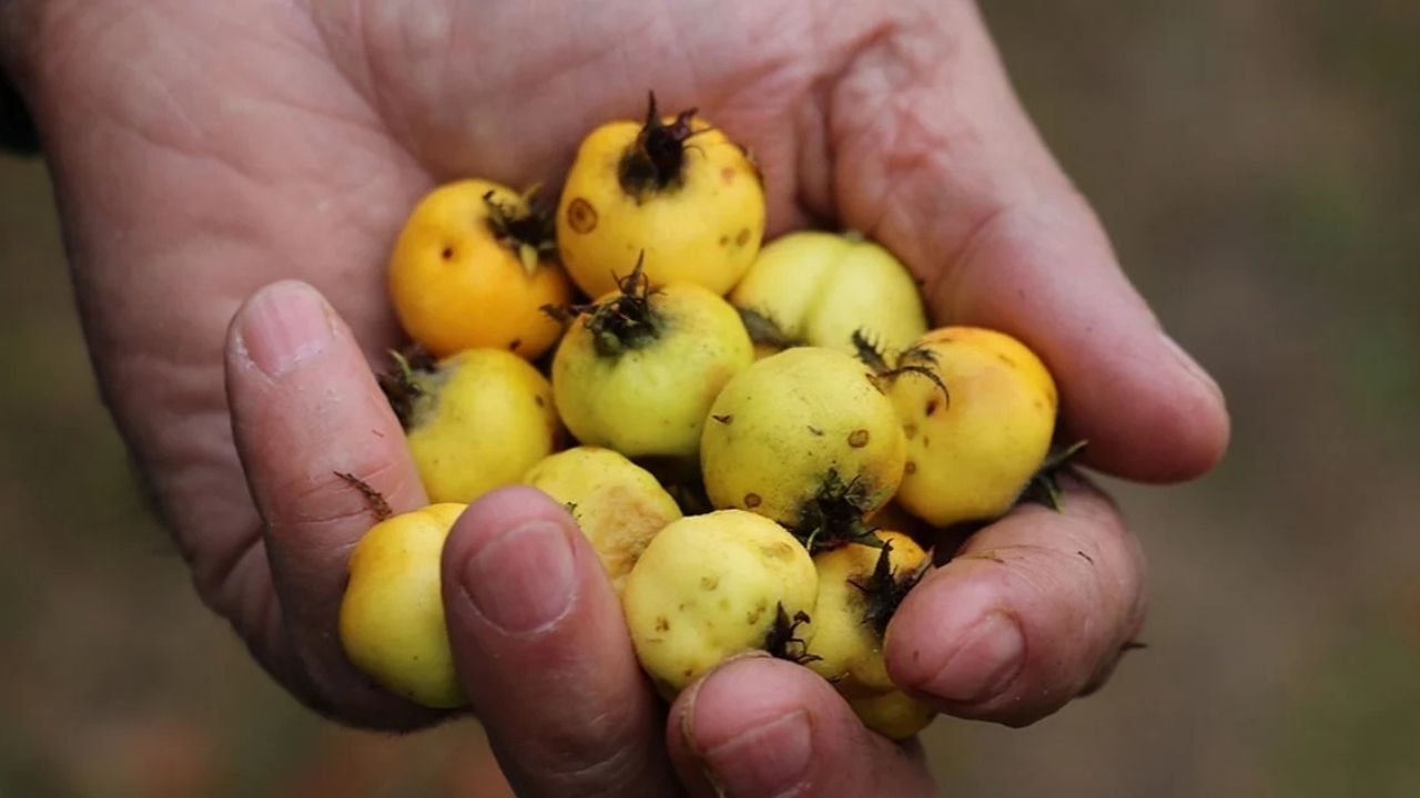 Adsız Tasarım 2026 04 13T132138.623