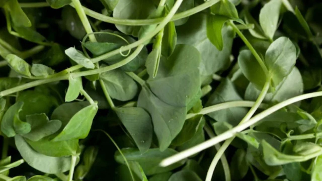 Adsız Tasarım (80)-5