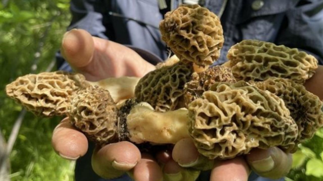 Adsız Tasarım (99)-2