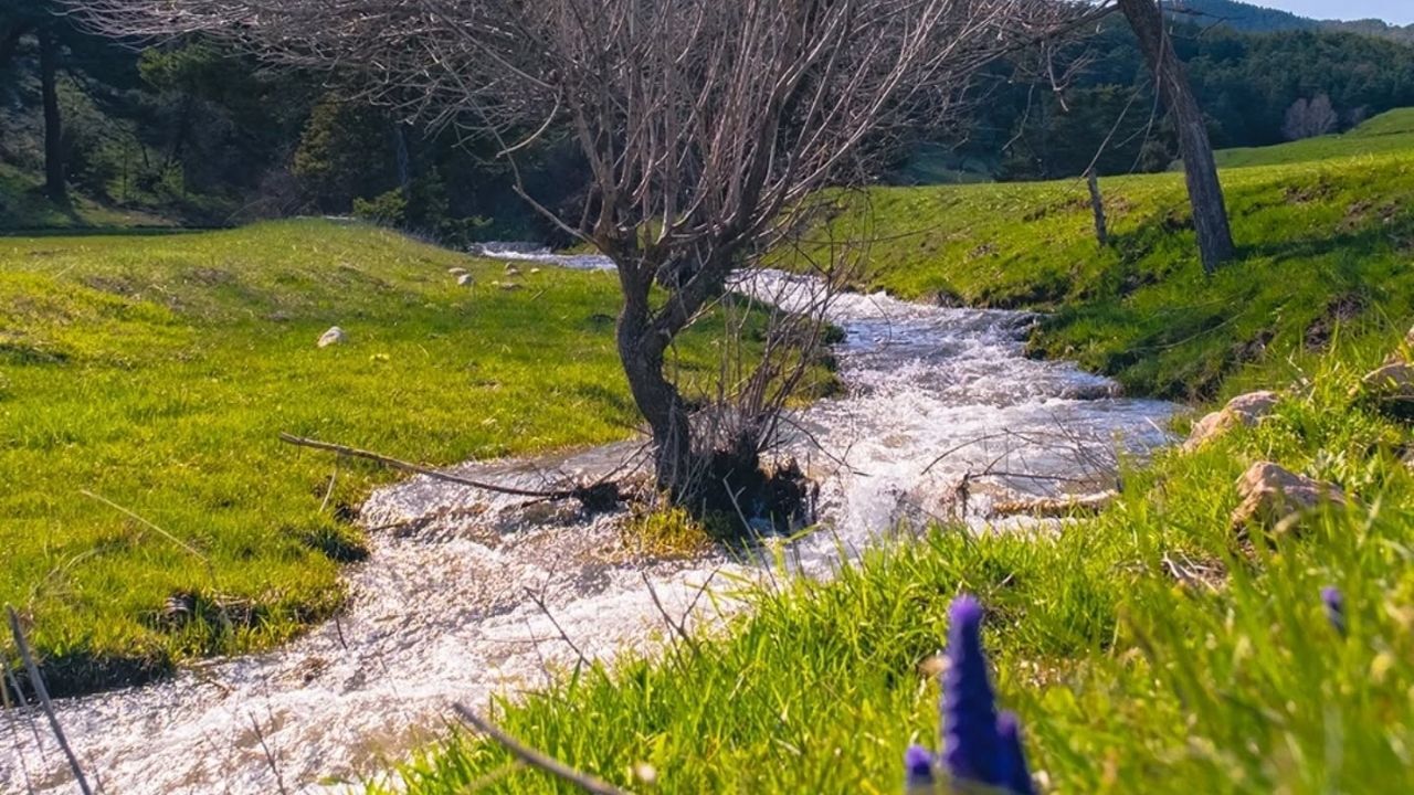 Yozgat'ta görsel şölen: Bahar doğayı sardı