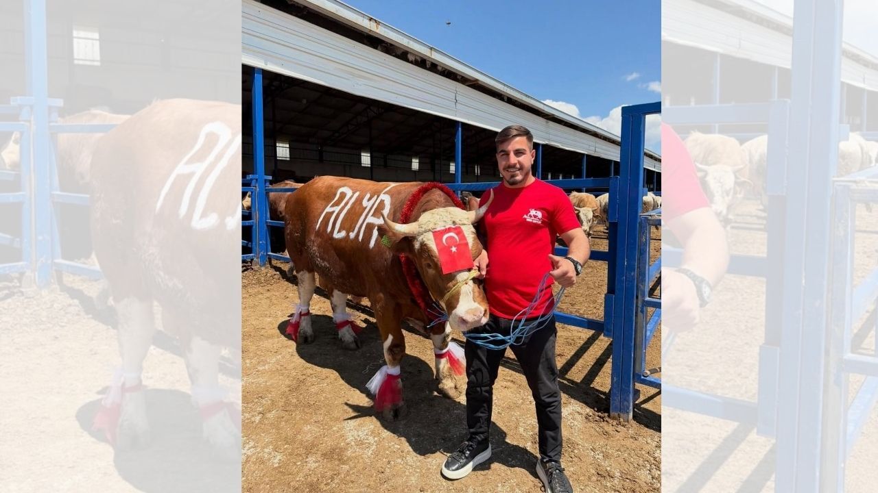 Alya Bebek İçin Seferberlik