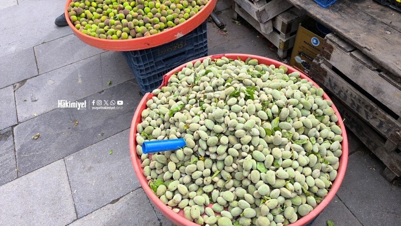 Baharın Lezzeti Tezgahlarda Yozgat’ta Çağla Sezonu Açıldı (1)