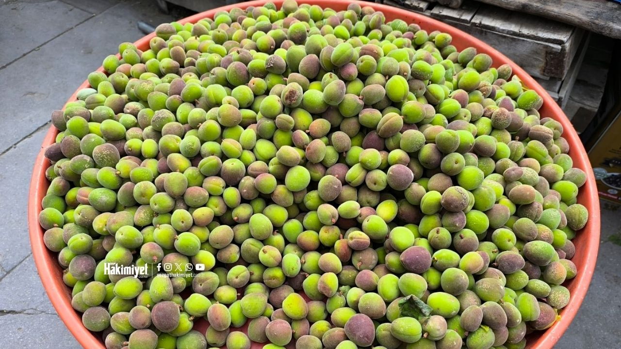 Baharın Lezzeti Tezgahlarda Yozgat’ta Çağla Sezonu Açıldı (3)