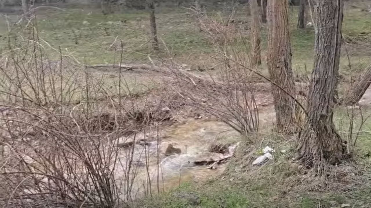 Başkan Arslan’dan Sert Çıkış “Pisliğini Almak Bu Kadar Zor Mu (3)