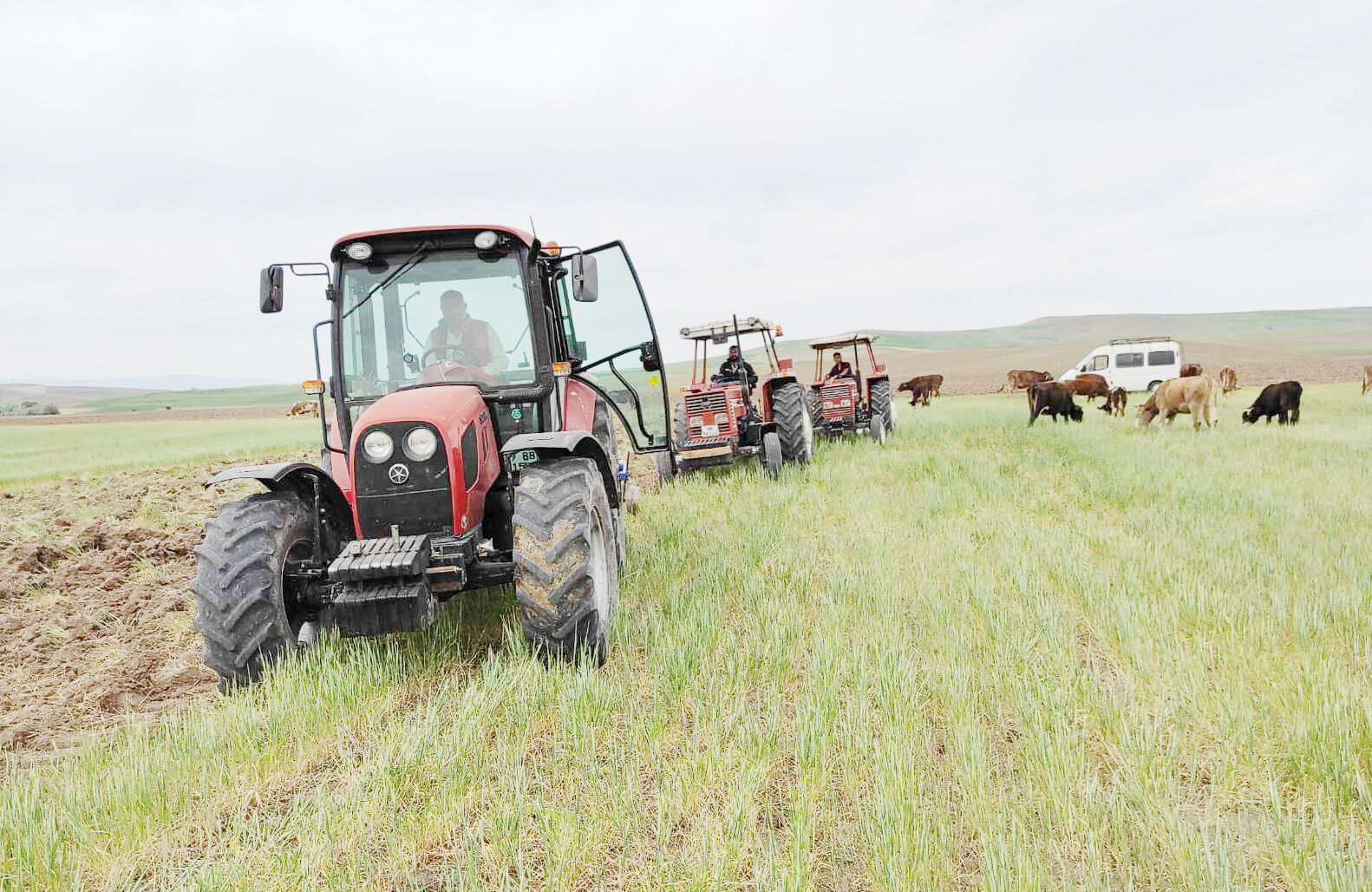 Çiftçilere Dev Destek Ödemesi: TC Son Hanesi 6 ve 8 Olan Üreticiler Dikkat!