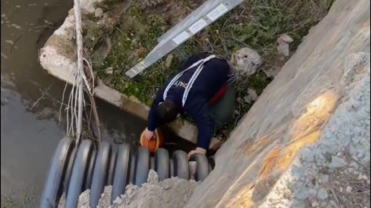 Çocukların Topu Dereye Düştü, İtfaiye Ekibi Yardıma Koştu