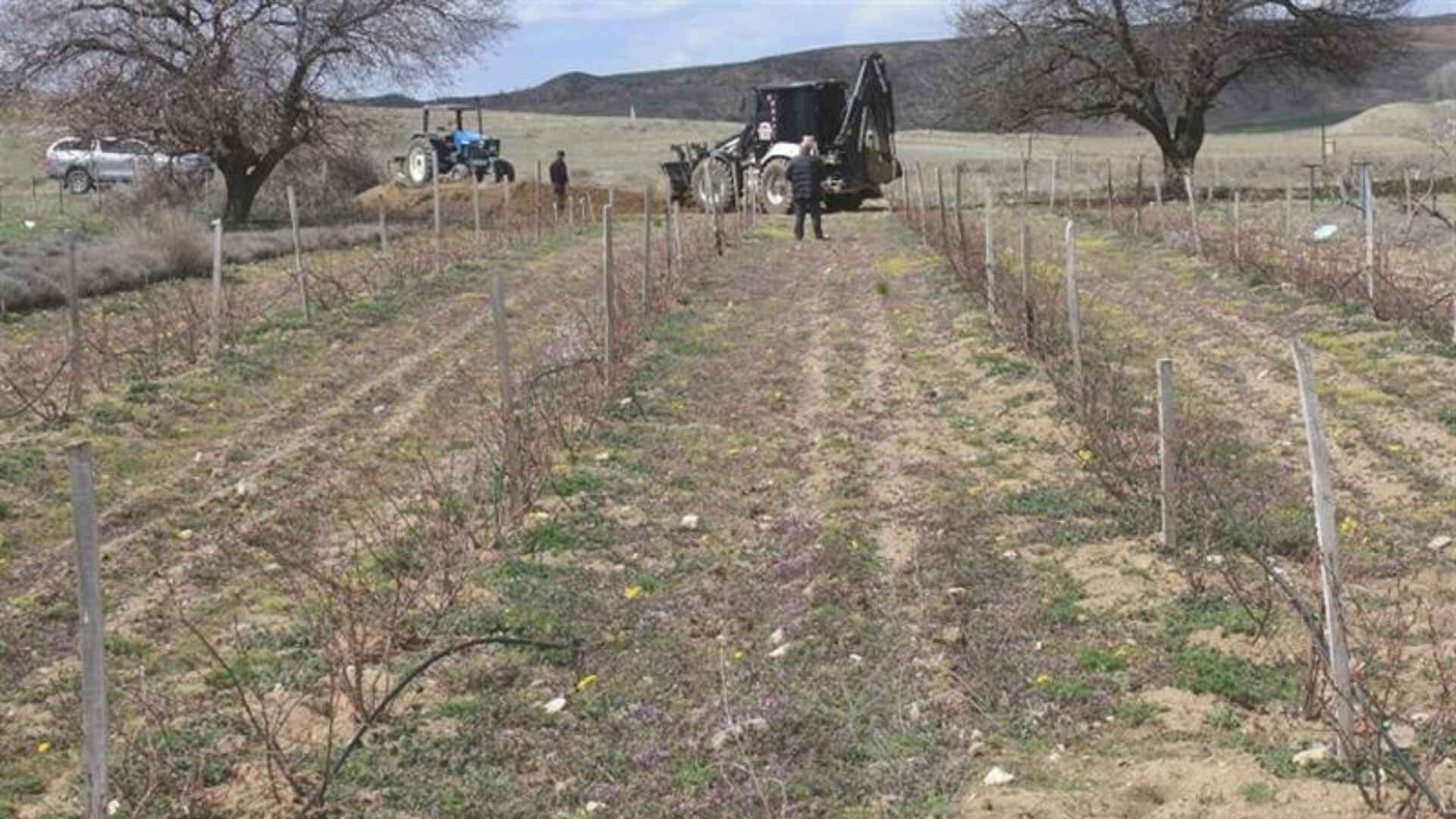 Dikkat Çeken Tarım Çalışması Yozgat’ta Aronya Üretimi İçin Kritik Eğitim (4)