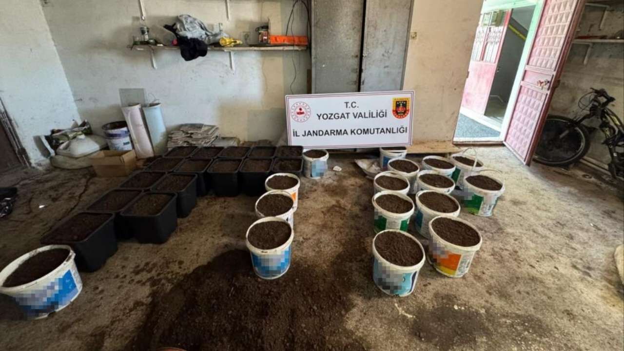 Jandarma Düğmeye Bastı Yozgat’ta Uyuşturucu Düzenekleri Ortaya Çıkarıldı (1)