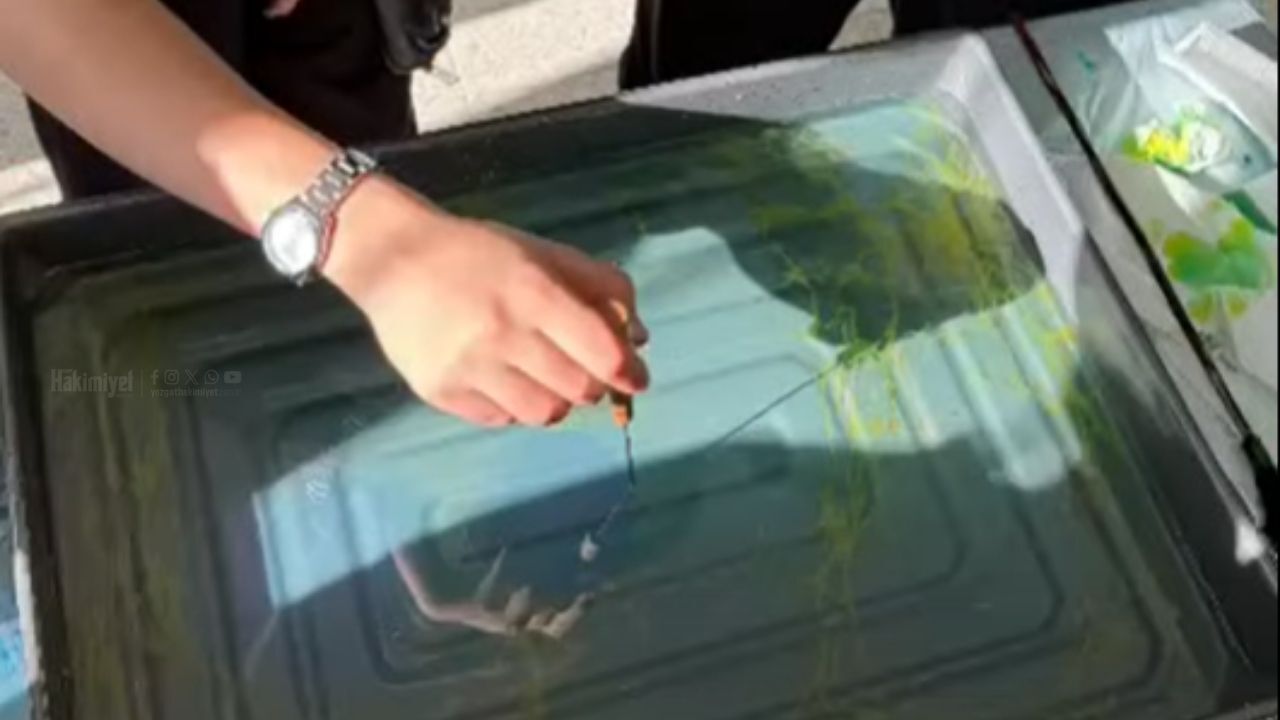 Sarıkaya’da Fırçalar Konuşuyor Liselerde Sanatın Büyüsüne Yolculuk (2)