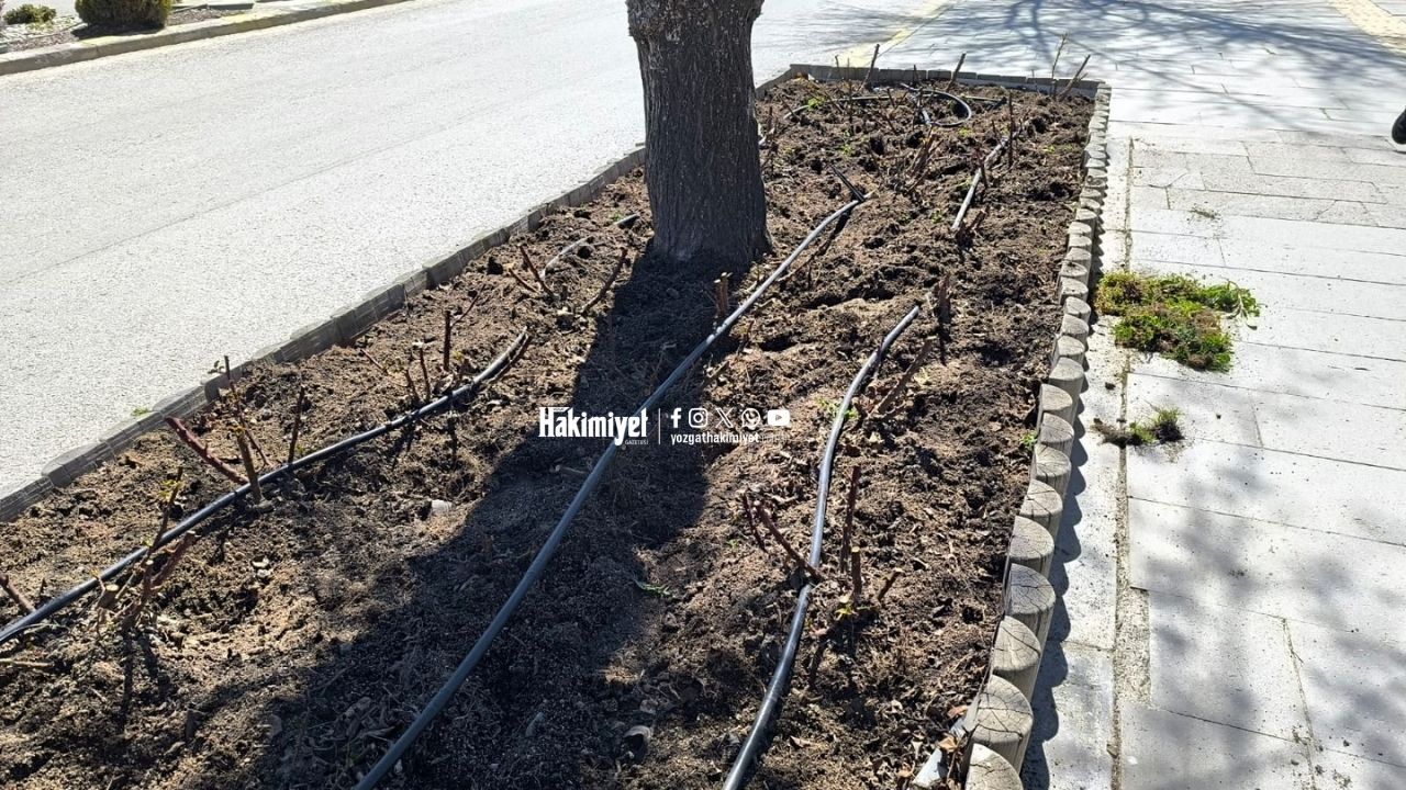 Toprak Çapalandı, Dallar Budandı Yozgat’ta Baharın İlk Tomurcukları Göründü (4)