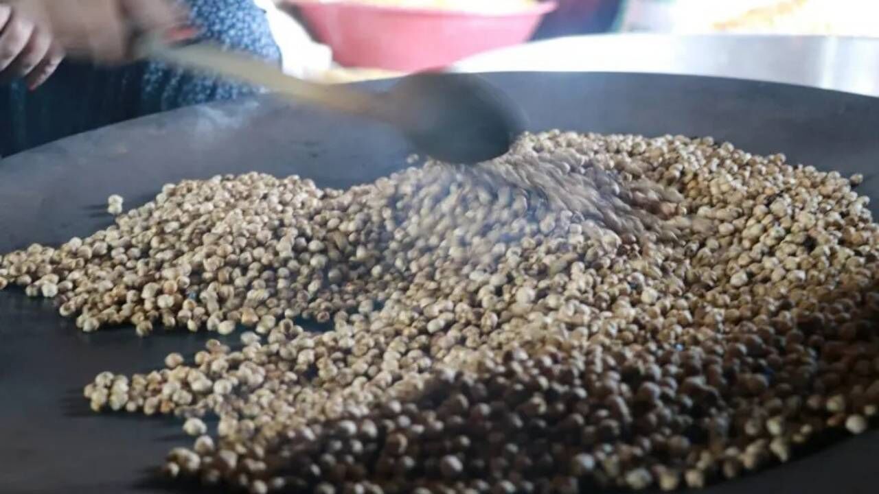 Unutulan Süper Gıda Gavut Geri Dönüyor Gavut Nedir, Nasıl Tüketilir (2)