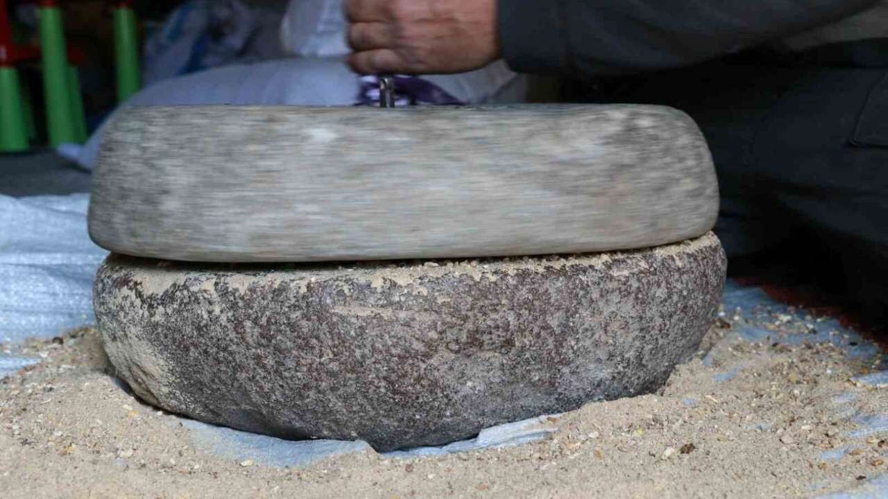 Unutulan Süper Gıda Gavut Geri Dönüyor Gavut Nedir, Nasıl Tüketilir (3)