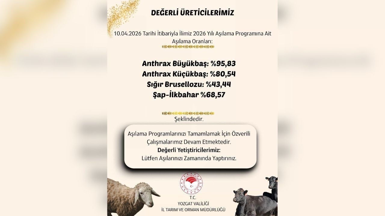 Valilik Açıkladı Yozgat’ta Hayvan Aşılamasında Yüksek Başarı-1