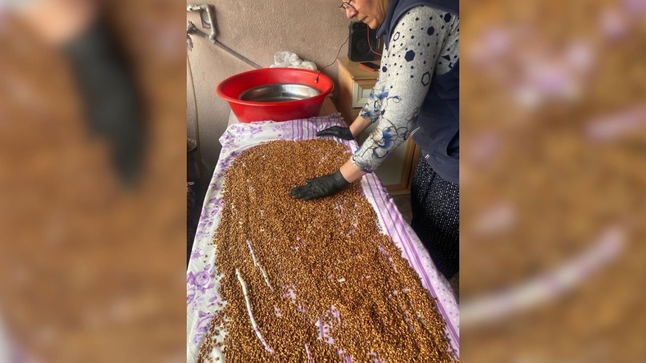 Yozgat'ın Milli Çerezi Çekoop Kadınlarının Elinden Çıkıyor2222