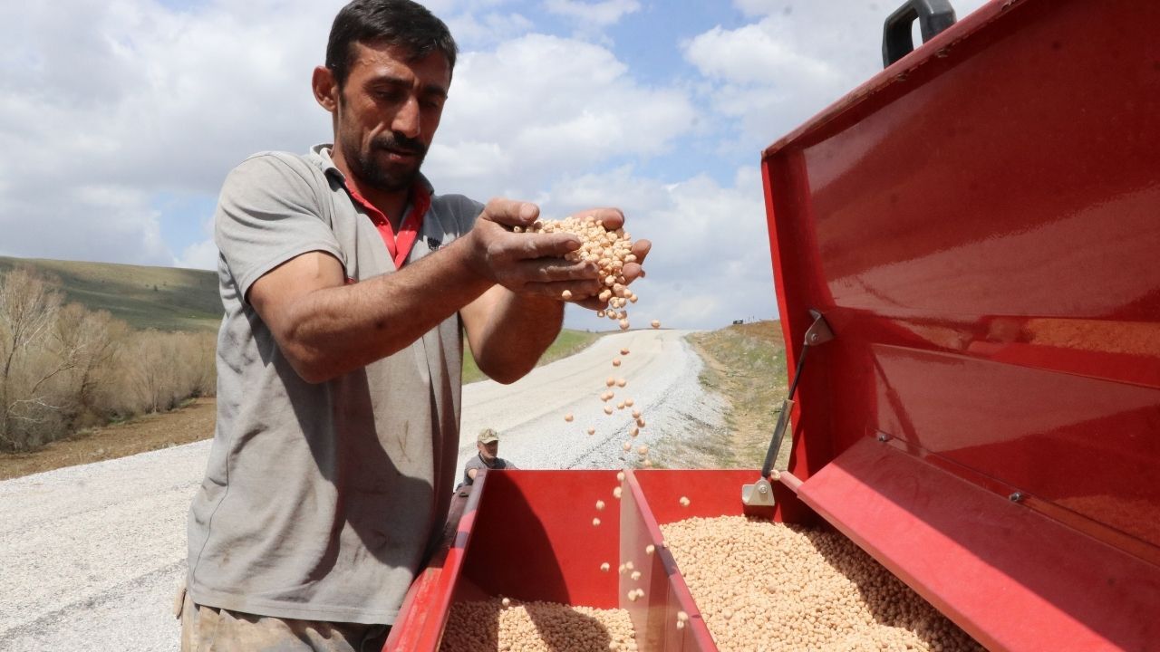 Yozgatlı Çiftçinin Yüzü Gülüyor Geçen Yılın Acısı Bu Sezon Çıkacak! (6)