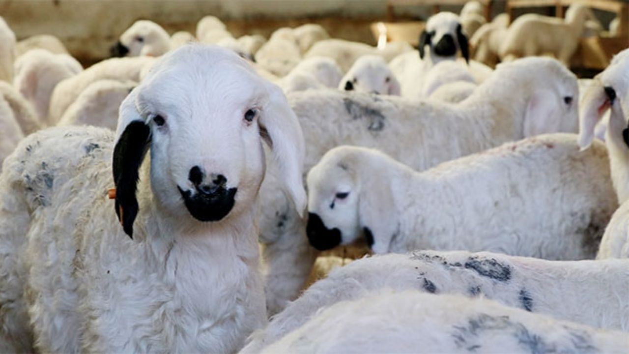 Yozgatlı Üreticilere Son Çağrı! Destek Projesinde Başvurular Bugün Bitiyor (2)