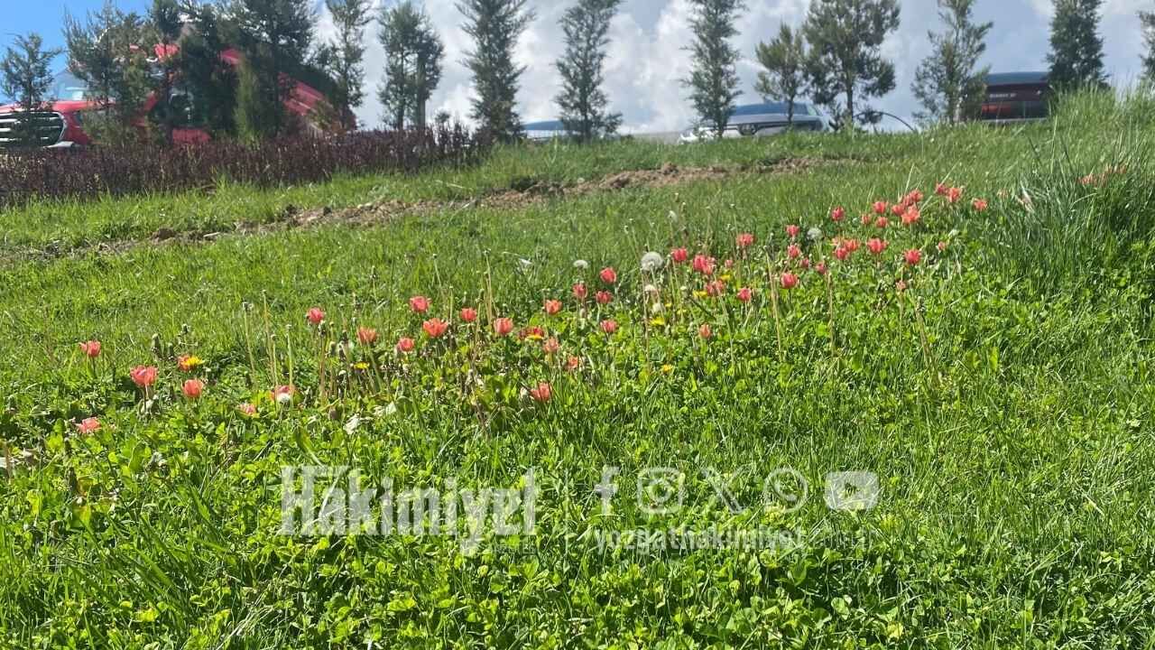 Yozgat’ta Bahar Etkisi Şehre Canlılık Geldi (2)