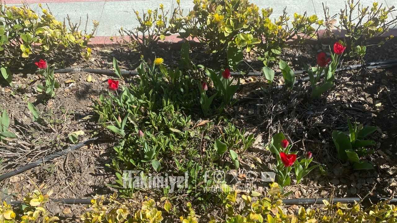 Yozgat’ta Bahar Etkisi Şehre Canlılık Geldi (3)