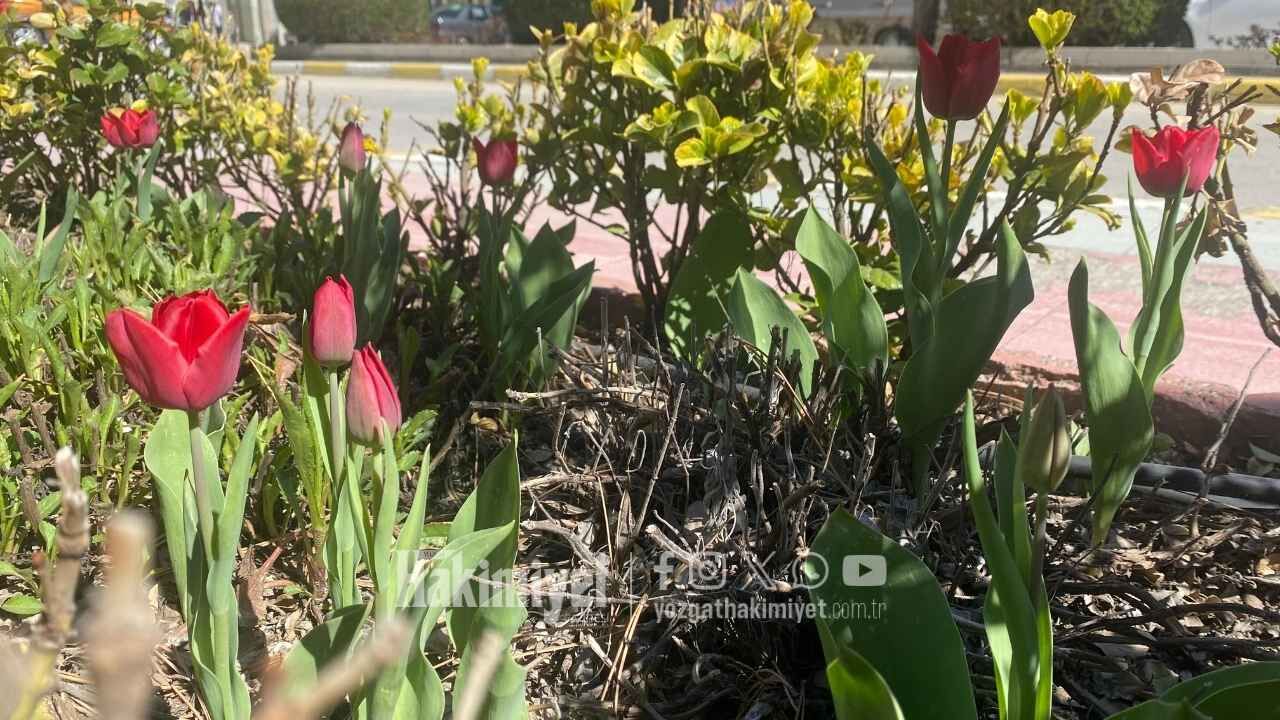 Yozgat’ta Bahar Etkisi Şehre Canlılık Geldi (4)