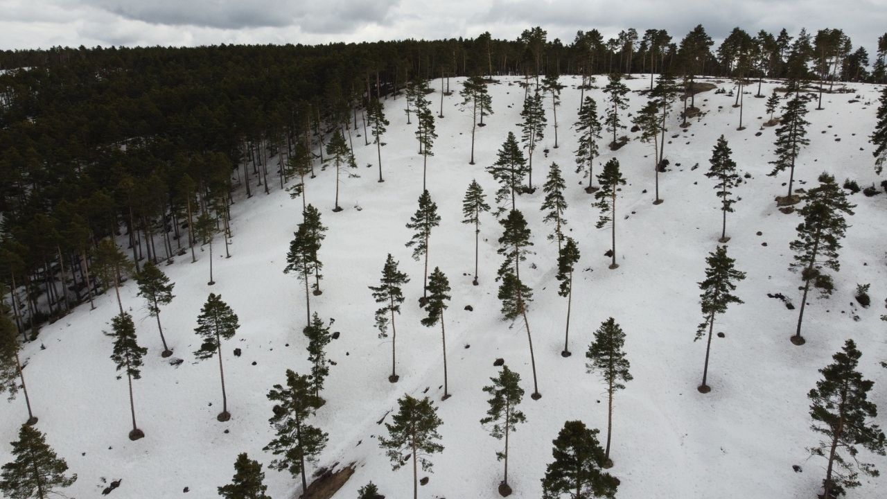 Yozgat’ta Bahar Ve Kış Bir Arada Tek Karede Eşsiz Şölen (2)