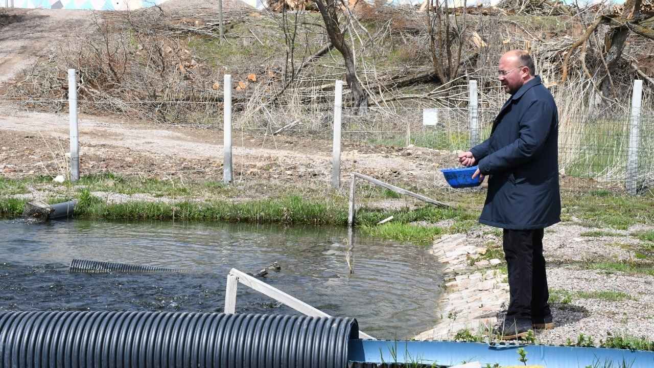Yozgat’ta Balık Üretiminde Rekor Yükseliş Aylık Üretim 1 Tona Ulaştı (5)