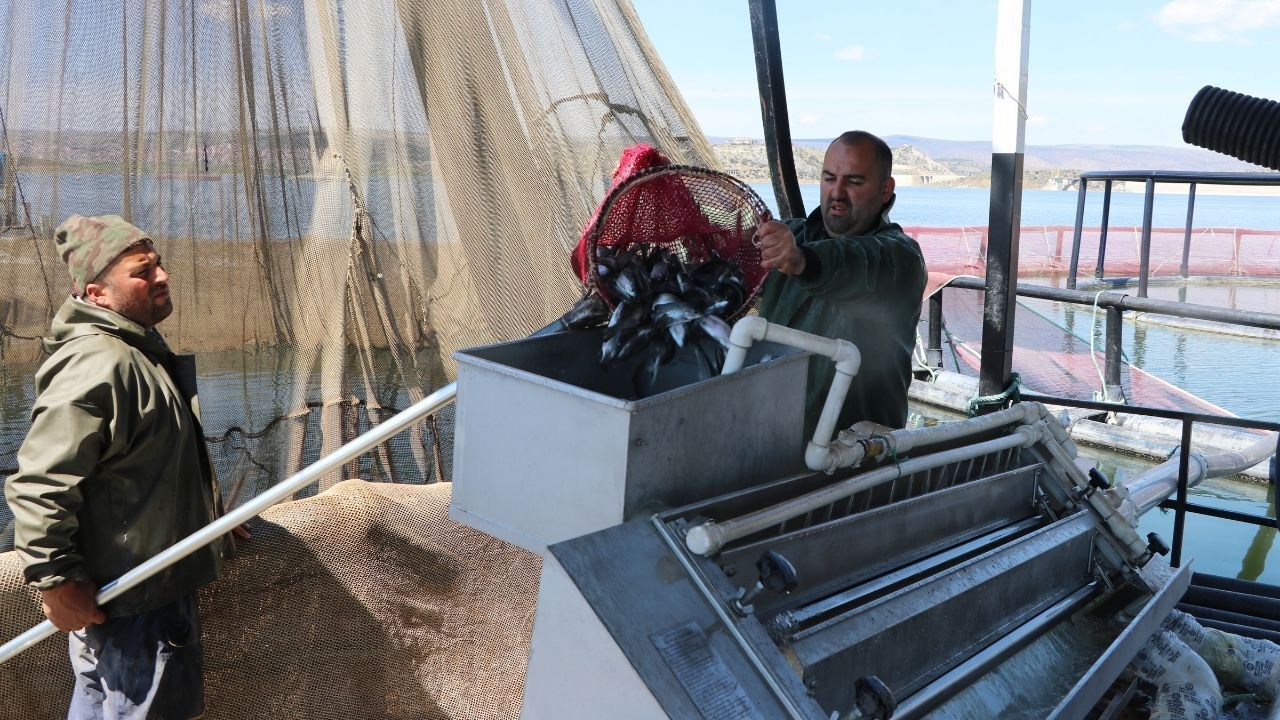 Yozgat’ta Baraj Doluluk Oranı Arttı Balıkçıların Yüzü Güldü (5)