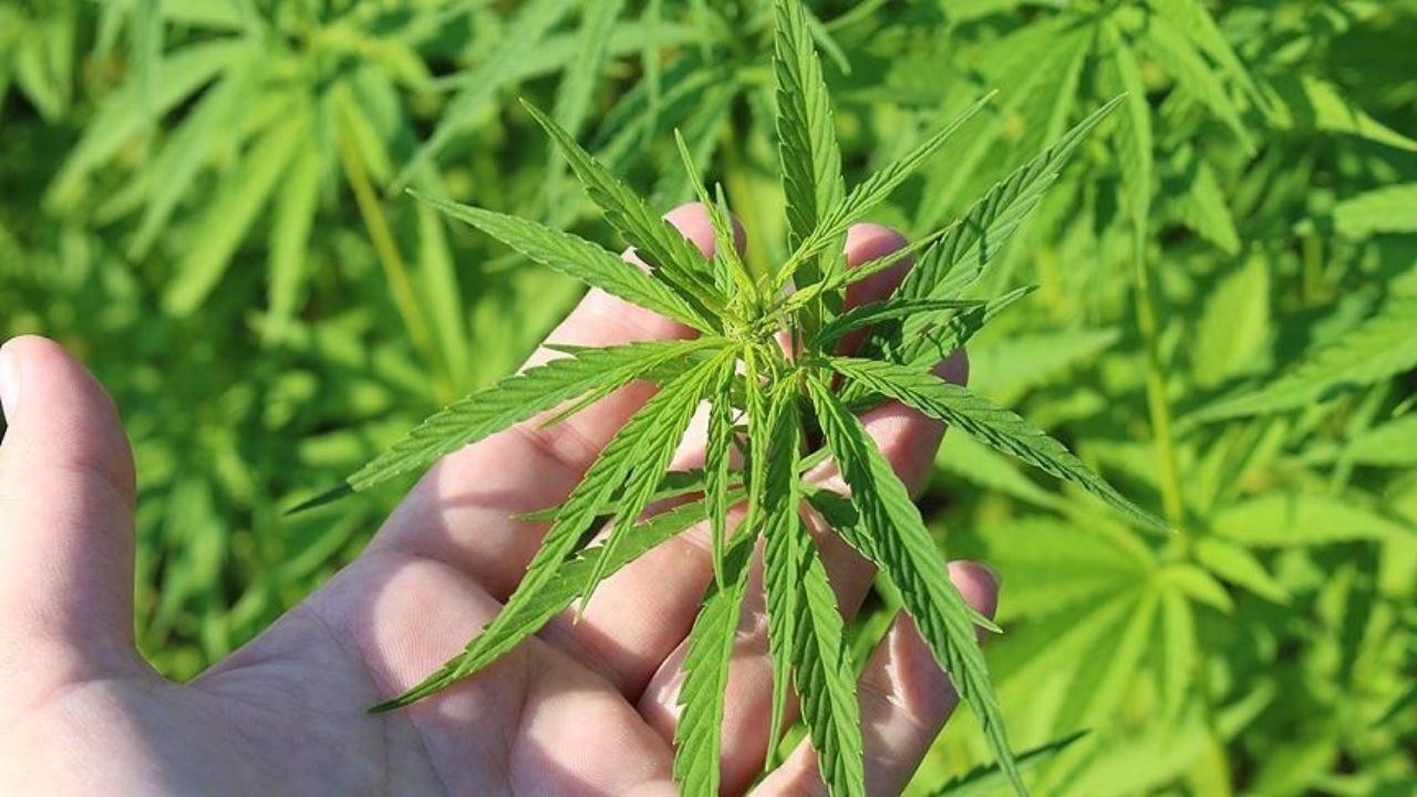 Yozgat’ta Dikkat Çeken Çalışma Sağlıkta Yeni Umut Doğdu (2)