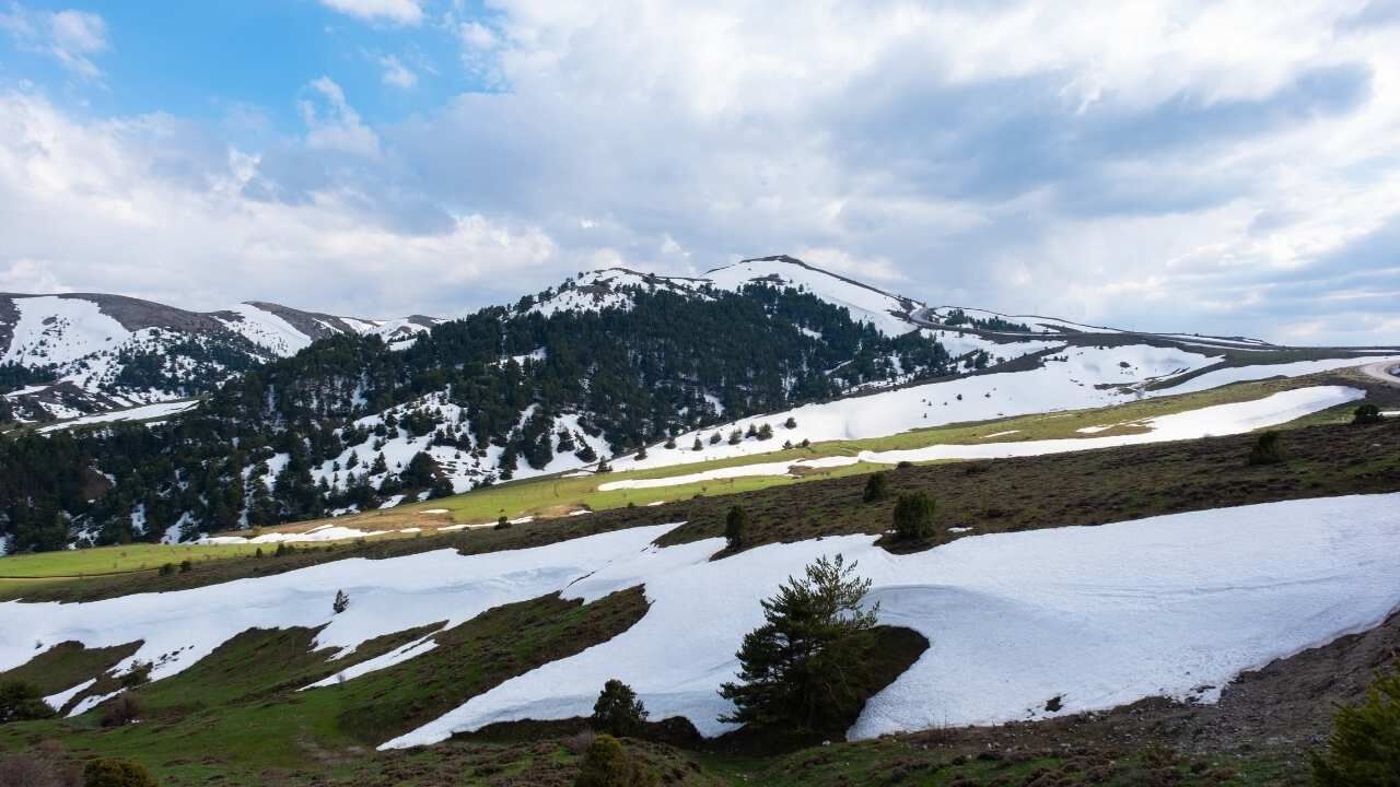 Yozgat’ta Doğa İki Mevsimi Birleştirdi Kar Ve Çiçekler Aynı Karede (4)