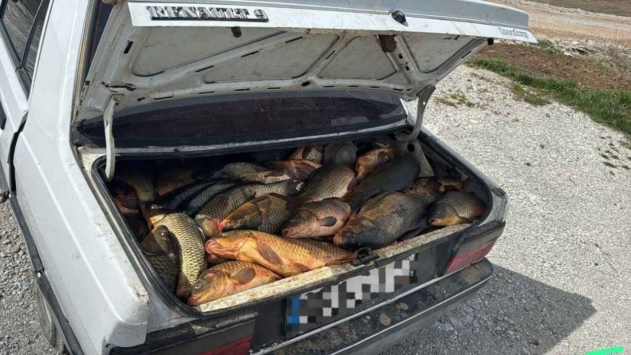 Yozgat’ta Doğal Yaşam Alarmı Sorgun’daki Operasyon Gündemde (1)