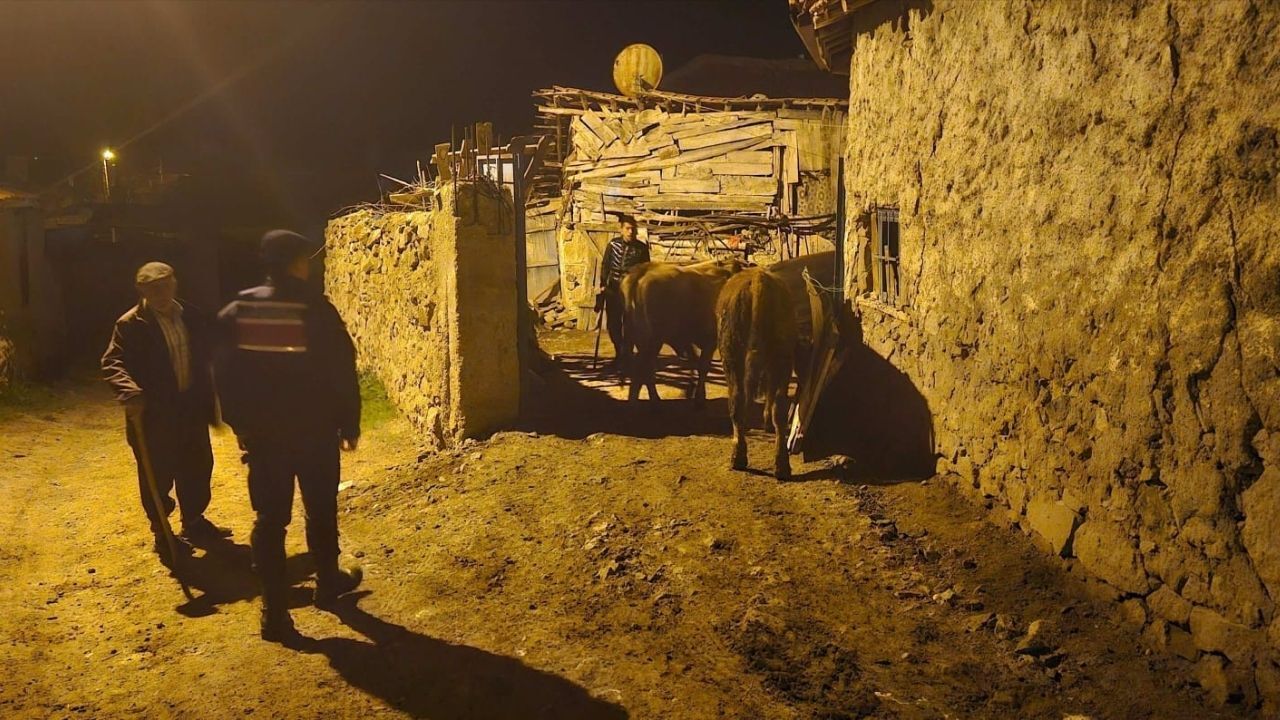 Yozgat’ta Hayvan Kaybı İhbarı Sonrası Önemli Gelişme (2)