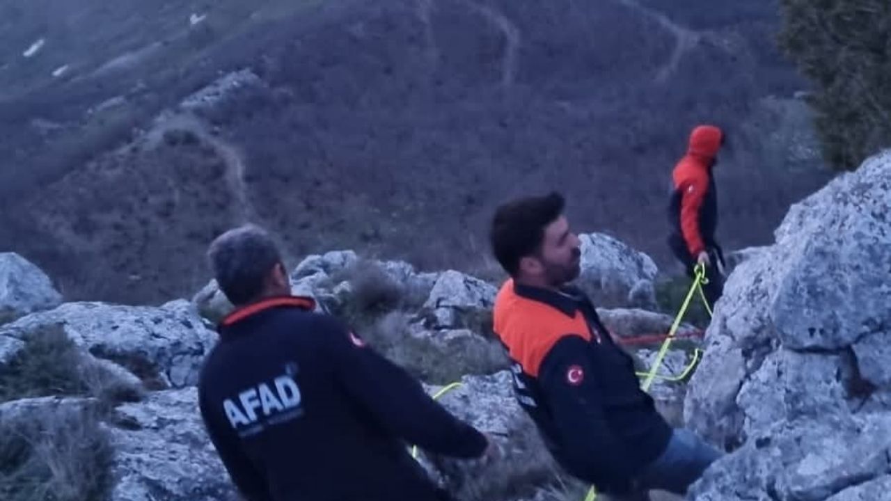 Yozgat’ta Kaybolan Hayvanlar İçin Ekipler Seferber Oldu (1)