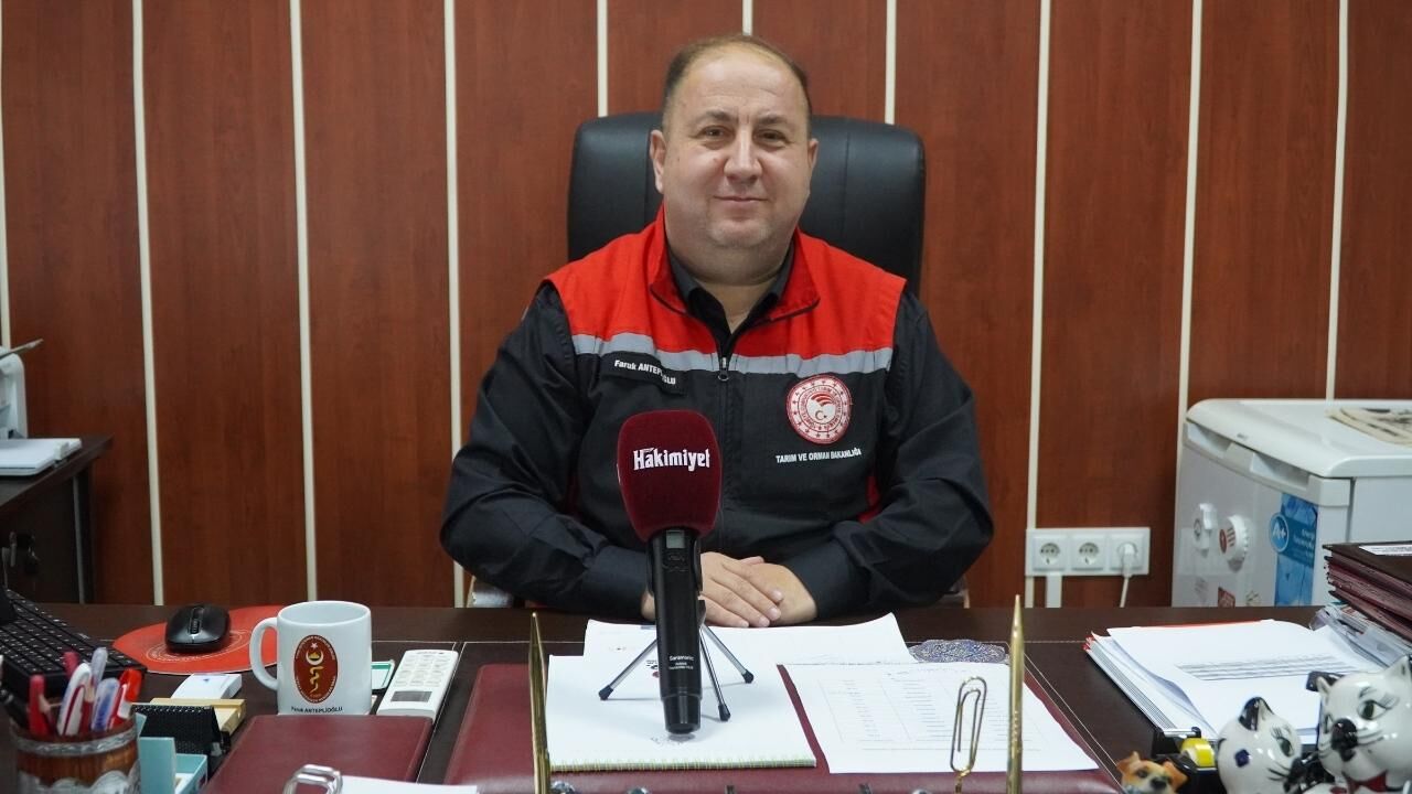 Yozgat’ta Kene Alarmı Yazın Başlamasıyla Korkulu Rüya Geri Geldi