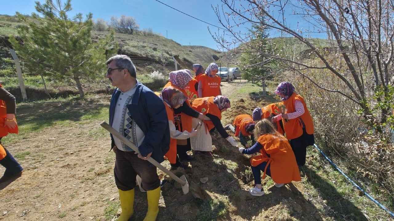 Yozgat’ta Kuraklığa Karşı Hamle Doğa Seferberliği Başlatıldı (2)