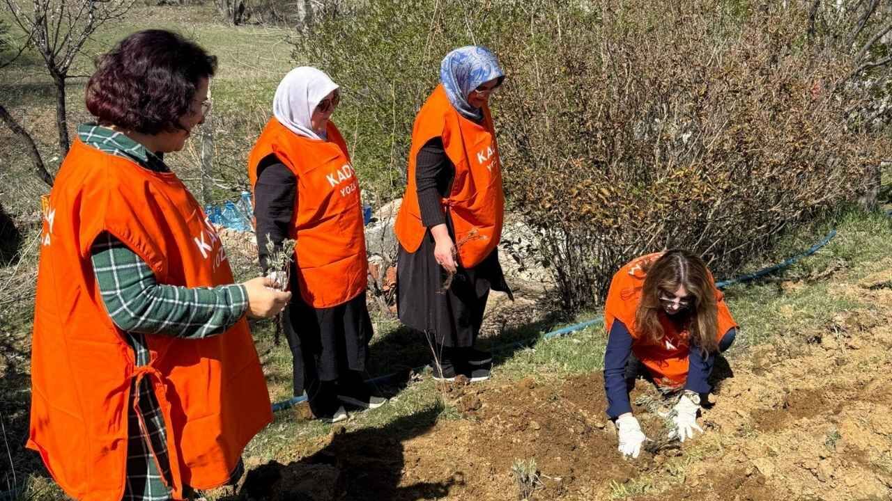Yozgat’ta Kuraklığa Karşı Hamle Doğa Seferberliği Başlatıldı (4)
