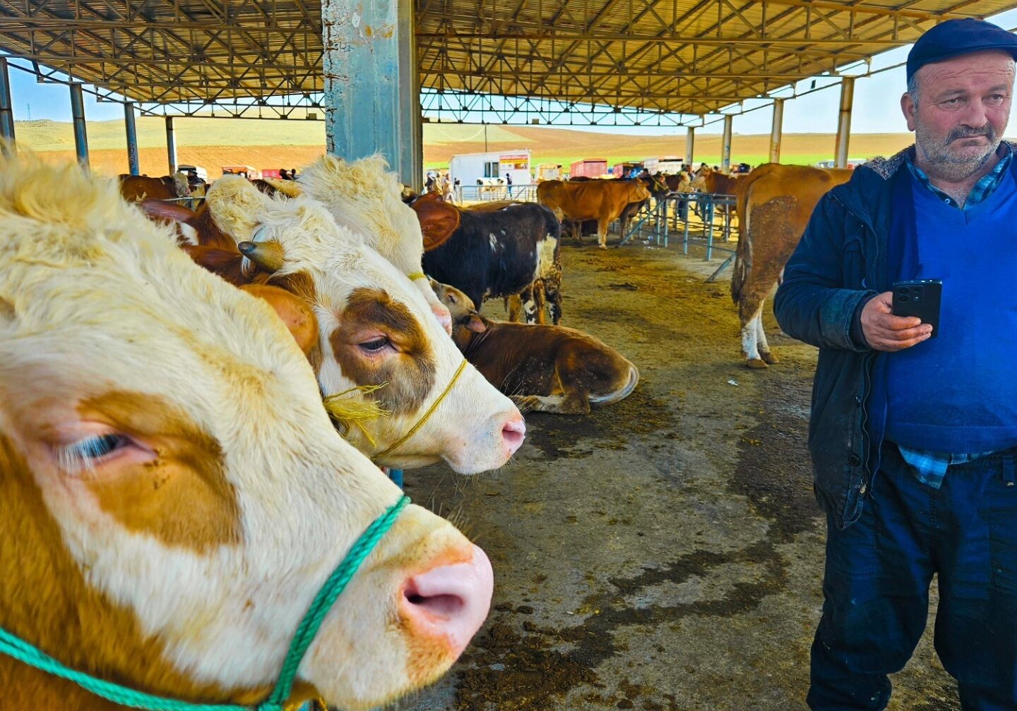 Yozgat’ta Kurban Pazarı Canlandı