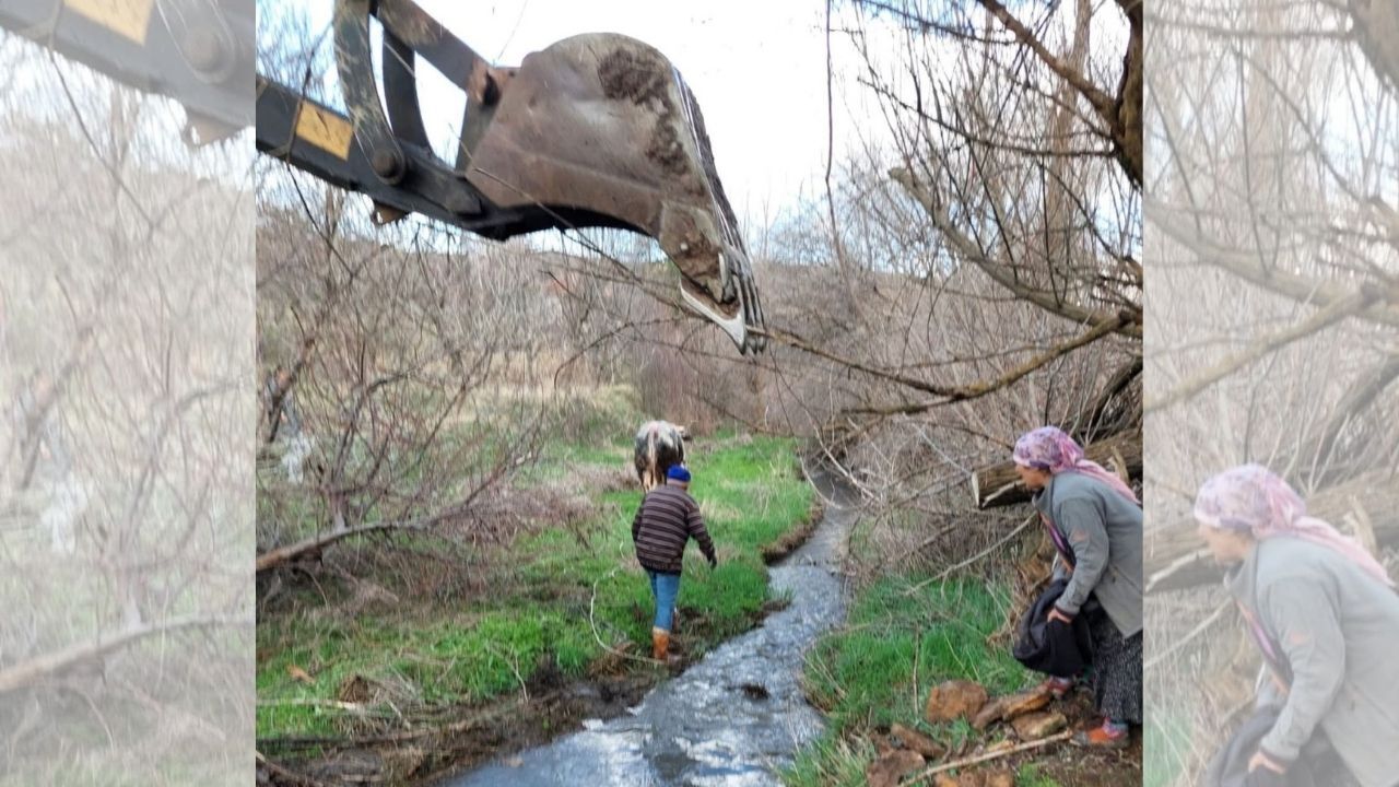 Yozgat'ta Kuyuya Düşen Büyükbaş Hayvan Afad Ekiplerince Kurtarıldı (1)