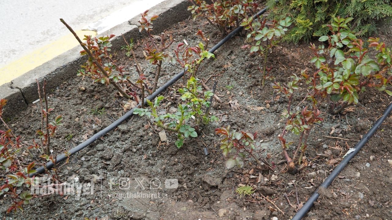 Yozgat'ta Renk Cümbüşü İçin Kritik Hamle! Belediye Ekipleri Sahaya İndi (2)