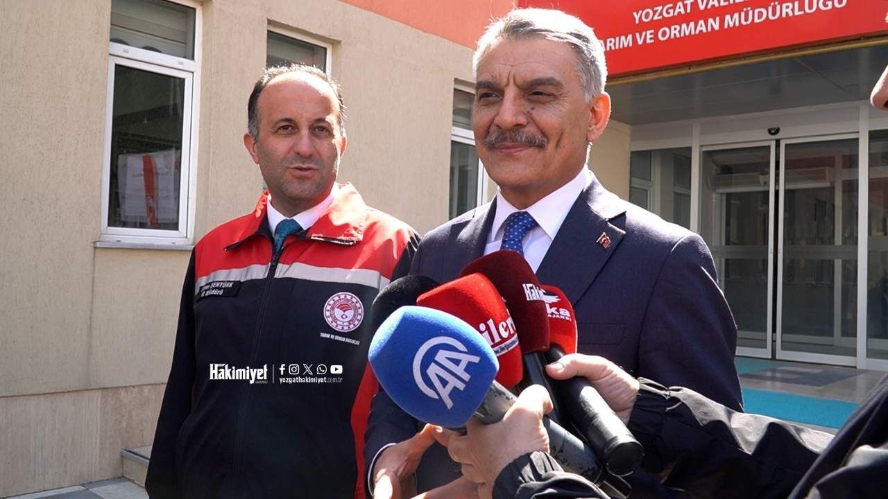 Yozgat’ta Sokak Hayvanları İçin Fark Yaratan Hamle (1)