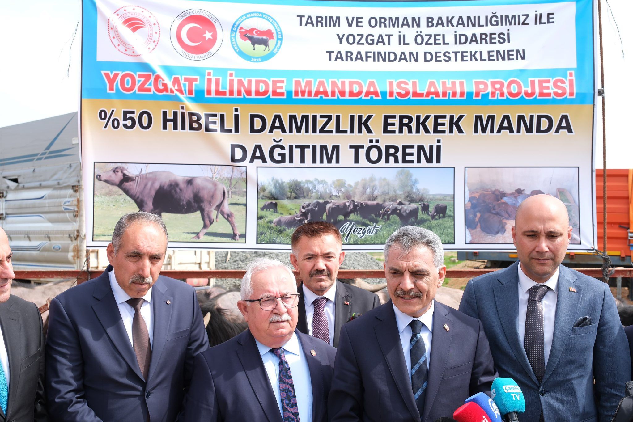 Yozgat’ta Üreticiye Can Suyu Damızlık Mandalarla Islah Süreci Başladı (2)