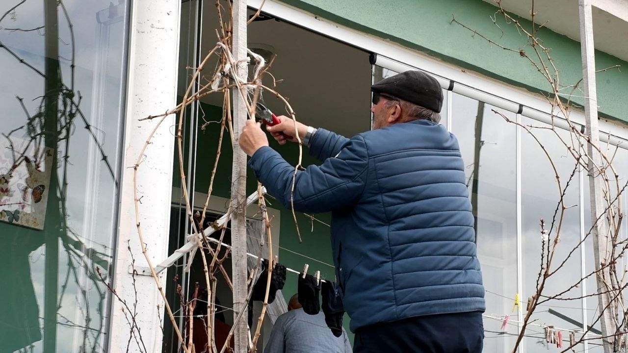 Yozgat'ta Üzüm Üreticileri Yeni Sezona Umutla Hazırlanıyor (8)
