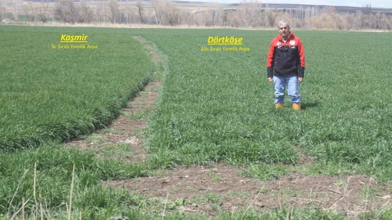 Yozgat’ta Verim Seferberliği Yeni Arpa Çeşitleri Tanıtılıyor (4)