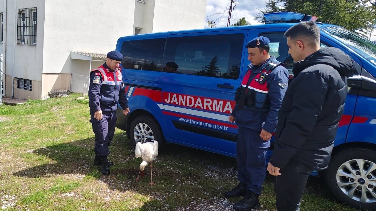 Yozgat’ta Yaban Hayatı Çalışmasında Kritik An (4)