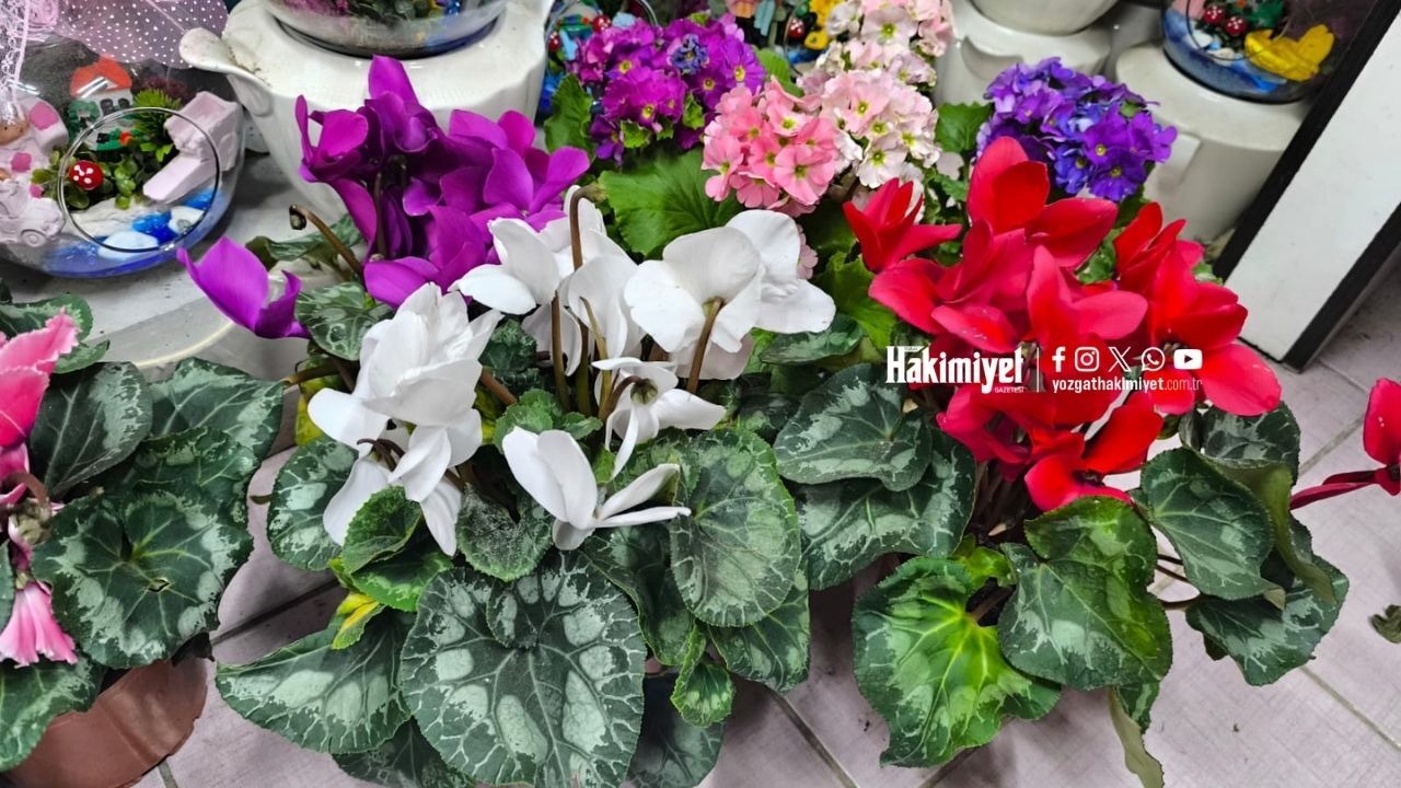 Yozgat’ta Yaz Bitkilerini Canlı Tutmanın Sırları Açıklandı (1)