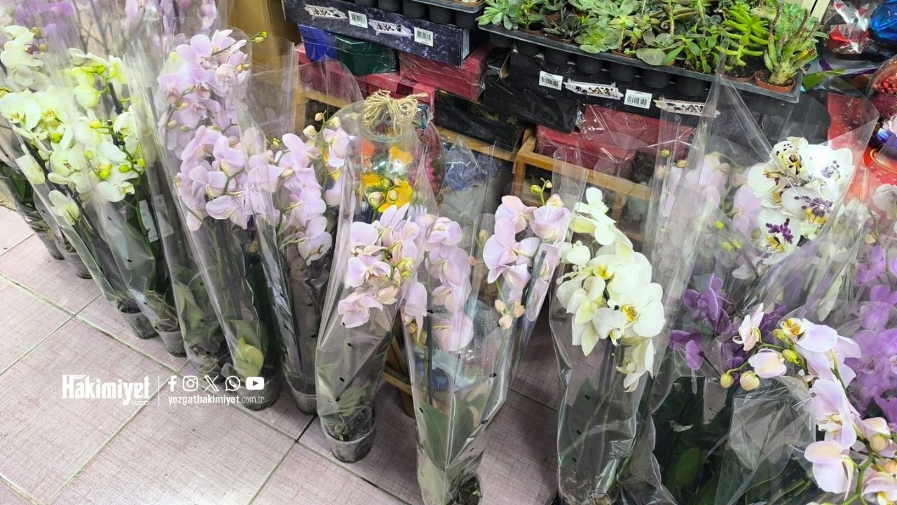 Yozgat’ta Yaz Bitkilerini Canlı Tutmanın Sırları Açıklandı (2)