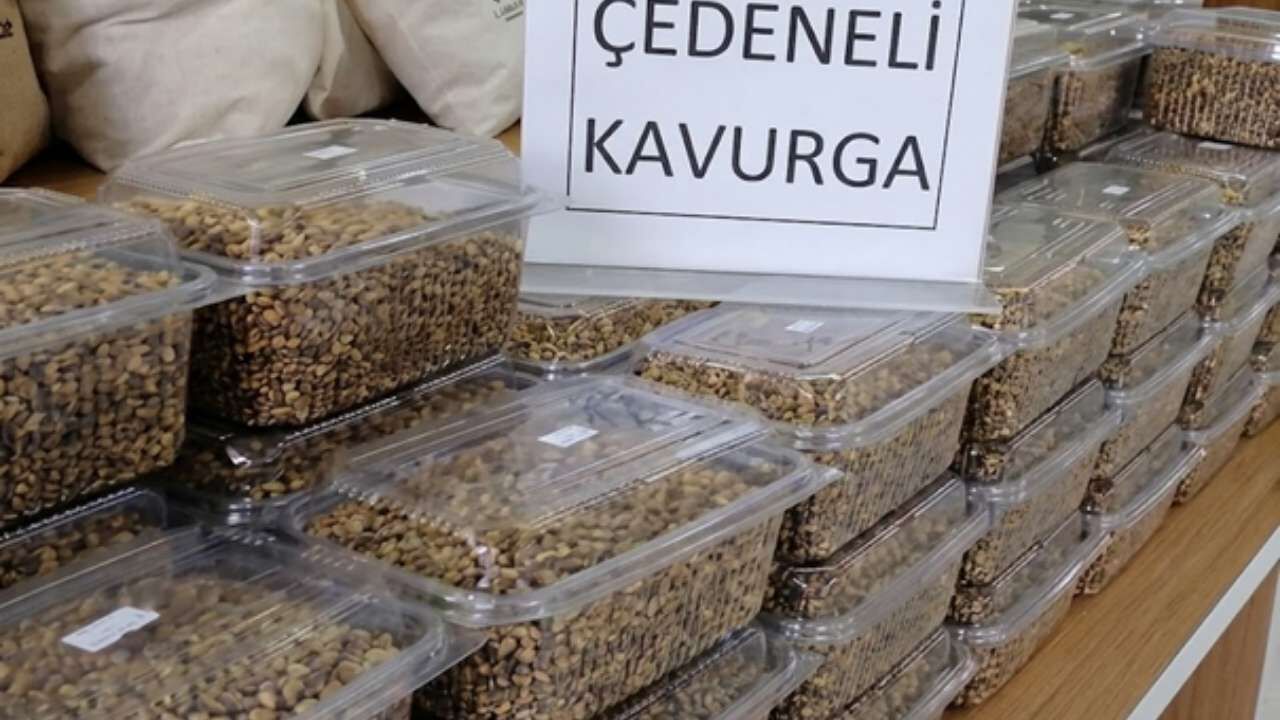 Yozgat’ta Yenilenen Sarıhacılı Tesisi Ziyaretçilerini Bekliyor (4)